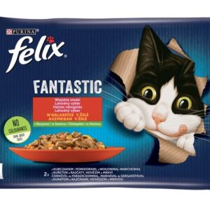 Felix Fantastic Wiejskie Smaki wołowina/kurczak w galaretce saszetki 4x85g