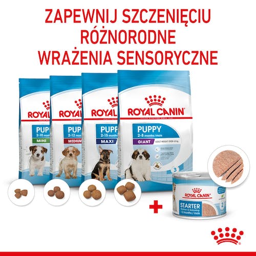 Royal Canin Starter Mother&Babydog karma mokra - mus, dla suk w czasie ciąży, laktacji oraz szczeniąt puszka 195g - Image 5