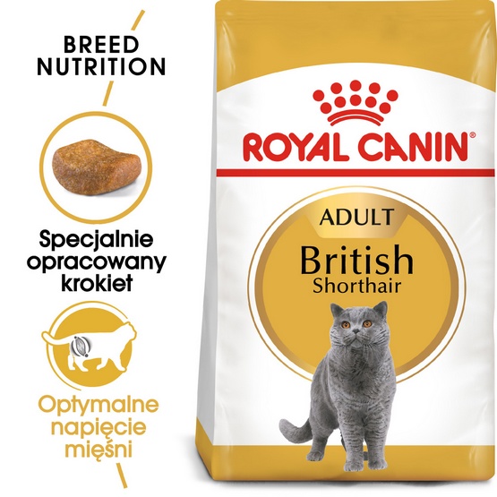 Royal Canin British Shorthair Adult karma sucha dla kotów dorosłych rasy brytyjski krótkowłosy 2kg