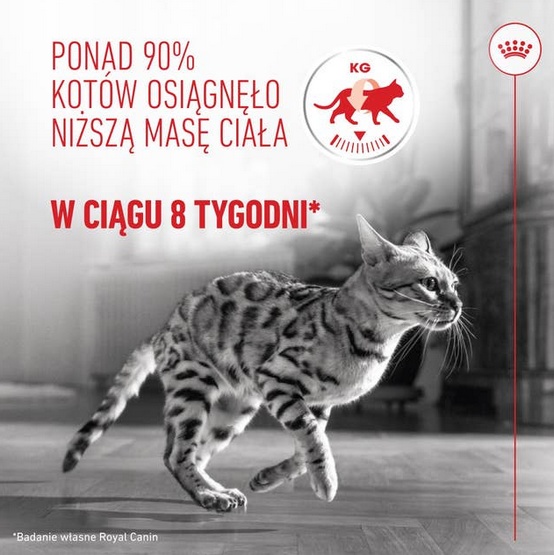 Royal Canin Light Weight Care w galaretce karma mokra dla kotów dorosłych, z tendencją do nadwagi saszetka 85g - Image 4