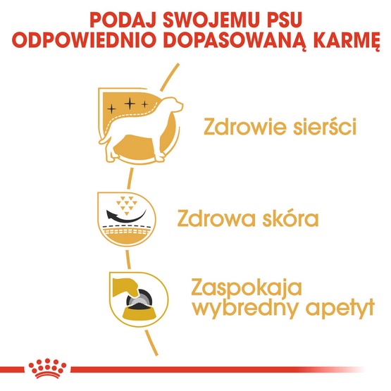 Royal Canin West Highland White Terrier Adult karma sucha dla psów dorosłych rasy west highland white terrier 1,5kg - Image 5