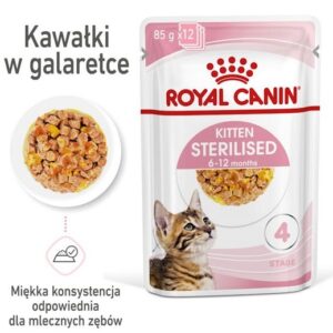 Royal Canin Kitten Sterilised karma mokra w galaretce dla kociąt od 6 do 12 miesiąca życia, sterylizowanych saszetka 85g