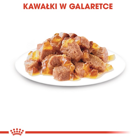 Royal Canin Instinctive w galaretce karma mokra dla kotów dorosłych, wybrednych saszetka 85g - Image 4