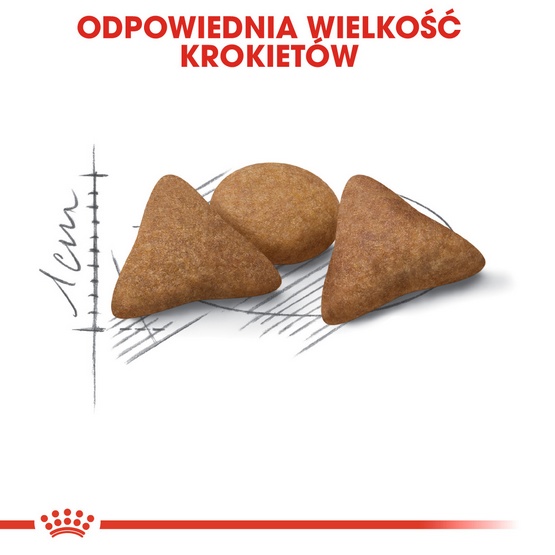 Royal Canin Indoor Appetite Control karma sucha dla kotów dorosłych przebywających w domu, domagających się jedzenia 400g - Image 4