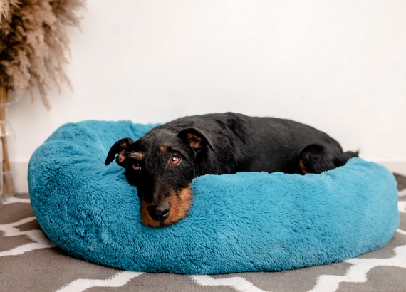 MIMIKO Pets Legowisko Shaggy okrągłe XL 75cm turkusowe - Image 3