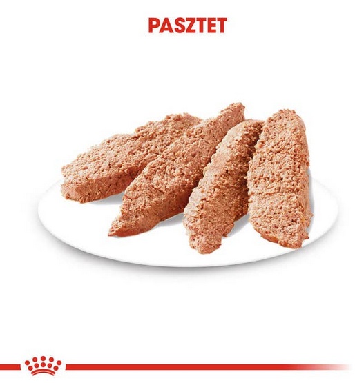 Royal Canin Dermacomfort Loaf karma mokra – pasztet, dla psów dorosłych wszystkich ras saszetka 85g - Image 4