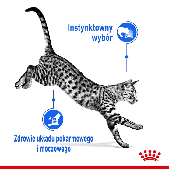 Royal Canin Indoor Sterilised sos karma mokra dla kotów dorosłych sterylizowanych, przebywających w domu saszetka 85g - Image 3