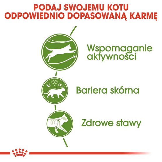 Royal Canin Outdoor karma sucha dla kotów dorosłych, wychodzących na zewnątrz 400g - Image 5