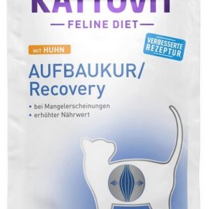 Kattovit Feline Diet Recovery saszetka 85g