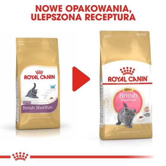 Royal Canin British Shorthair Kitten karma sucha dla kociąt, do 12 miesiąca, rasy brytyjski krótkowłosy 2kg - Image 6