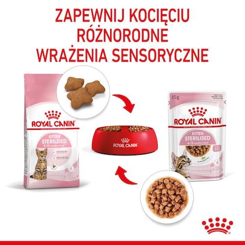 Royal Canin Kitten Sterilised karma mokra w sosie dla kociąt od 6 do 12 miesiąca życia, sterylizowanych saszetka 85g - Image 5