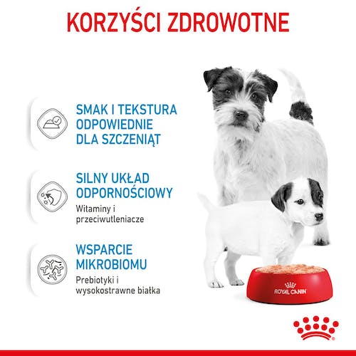Royal Canin Starter Mother&Babydog karma mokra - mus, dla suk w czasie ciąży, laktacji oraz szczeniąt puszka 195g - Image 2