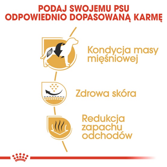 Royal Canin French Bulldog Adult karma sucha dla psów dorosłych rasy buldog francuski 3kg - Image 5