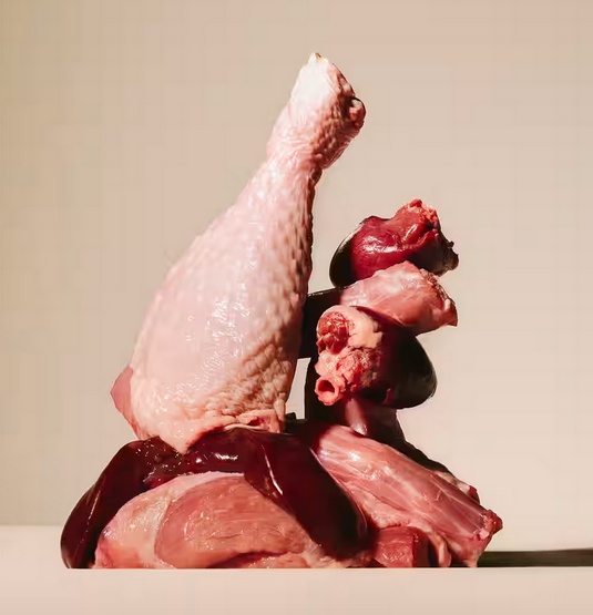 Carnilove Cat Turkey - indyk w sosie saszetka 85g - Image 3