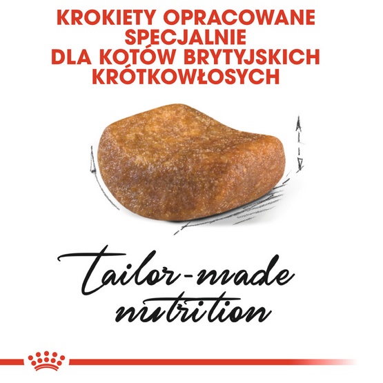 Royal Canin British Shorthair Adult karma sucha dla kotów dorosłych rasy brytyjski krótkowłosy 2kg - Image 3