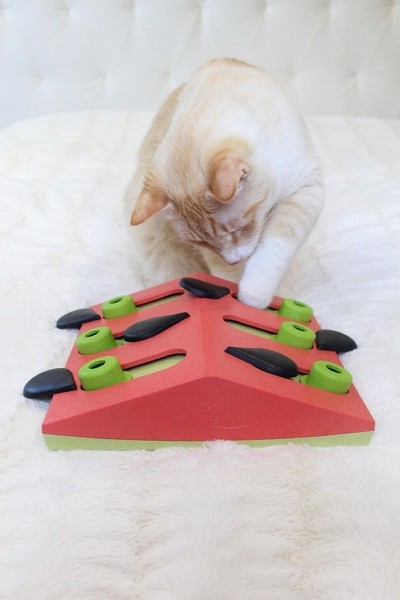 Nina Ottosson Cat Melon Madness Puzzle & Play - gra edukacyjna dla kotów - Image 5