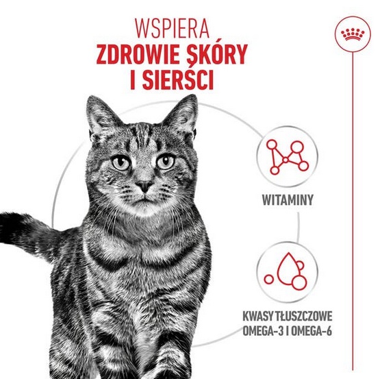 Royal Canin Hair&Skin Care karma sucha dla kotów dorosłych, lśniąca sierść i zdrowa skóra 2kg - Image 4