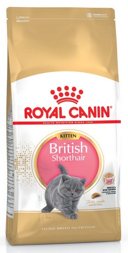 Royal Canin British Shorthair Kitten karma sucha dla kociąt, do 12 miesiąca, rasy brytyjski krótkowłosy 2kg - Image 2