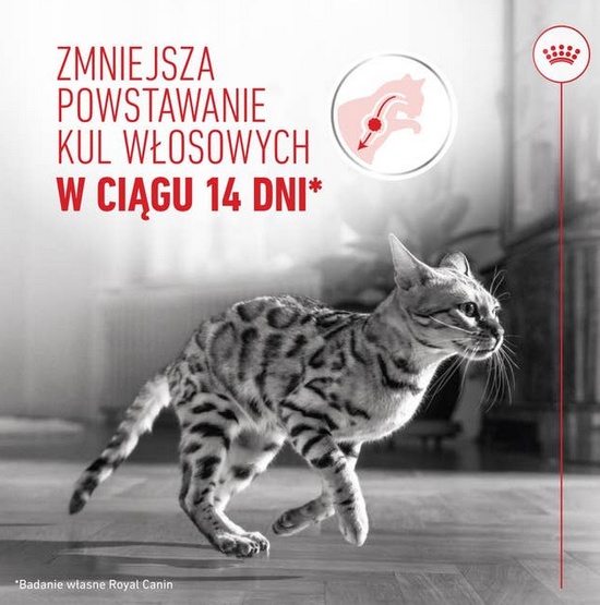 Royal Canin Hairball Care karma sucha dla kotów dorosłych, eliminacja kul włosowych 4kg - Image 4