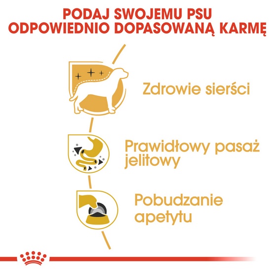 Royal Canin Chihuahua Adult karma mokra – pasztet, dla psów dorosłych rasy chihuahua saszetka 85g - Image 3