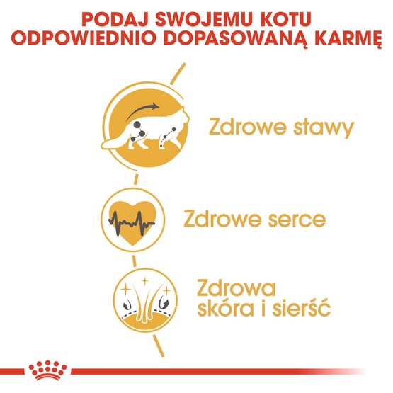 Royal Canin Maine Coon Adult karma sucha dla kotów dorosłych rasy maine coon 2kg - Image 4