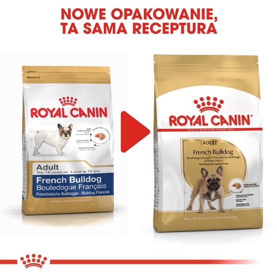Royal Canin French Bulldog Adult karma sucha dla psów dorosłych rasy buldog francuski 3kg - Image 6