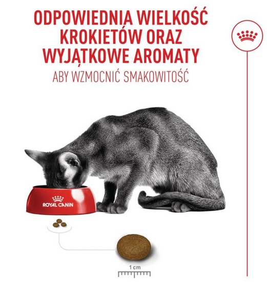 Royal Canin Fussy Exigent karma sucha dla kotów dorosłych, wybrednych 2kg - Image 3