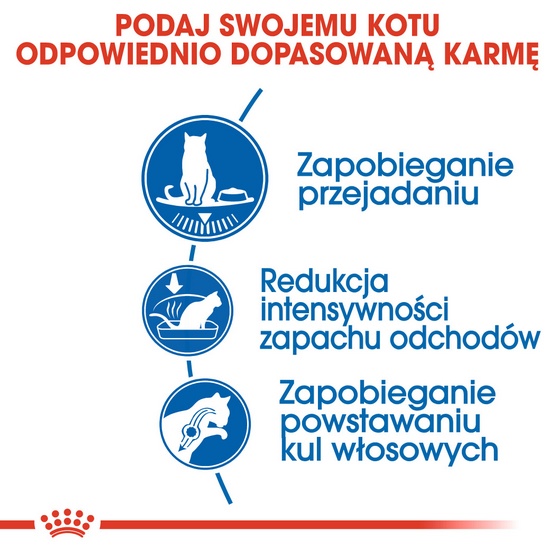 Royal Canin Indoor Appetite Control karma sucha dla kotów dorosłych przebywających w domu, domagających się jedzenia 400g - Image 3