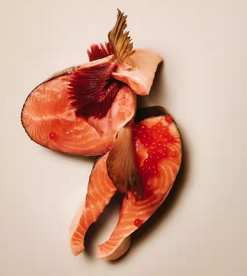 Carnilove Cat Active Salmon & Turkey Adult Large Breed - kaczka i indyk 2kg - Image 5