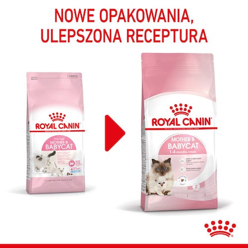 Royal Canin Mother&Babycat karma sucha dla kotek w okresie ciąży, laktacji i kociąt od 1 do 4 miesiąca 400g - Image 6