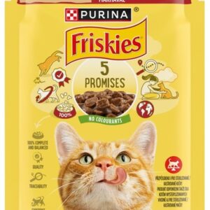 Friskies Wołowina saszetka 85g