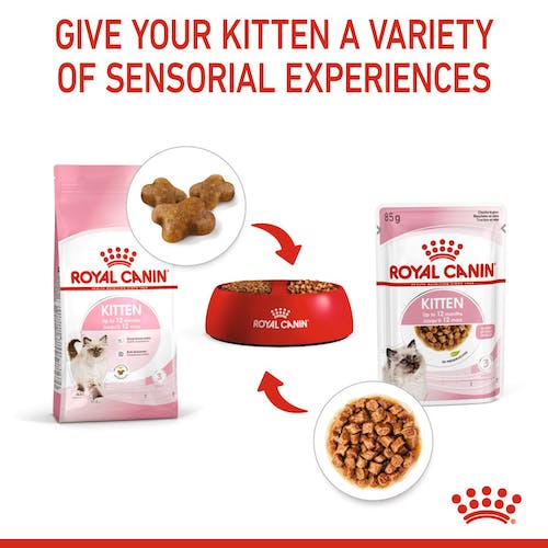 Royal Canin Kitten w sosie karma mokra dla kociąt do 12 miesiąca życia saszetka 85g - Image 4