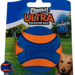 Chuckit! Ultra Squeaker Ball Medium [52068]