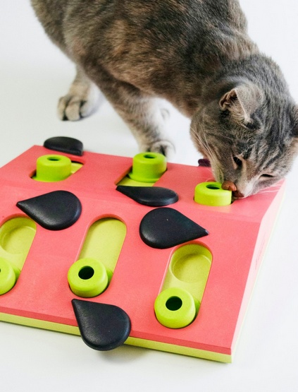 Nina Ottosson Cat Melon Madness Puzzle & Play - gra edukacyjna dla kotów - Image 6