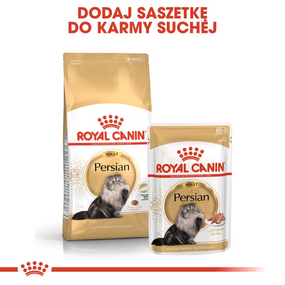 Royal Canin Persian Adult karma sucha dla kotów dorosłych rasy perskiej 400g - Image 5