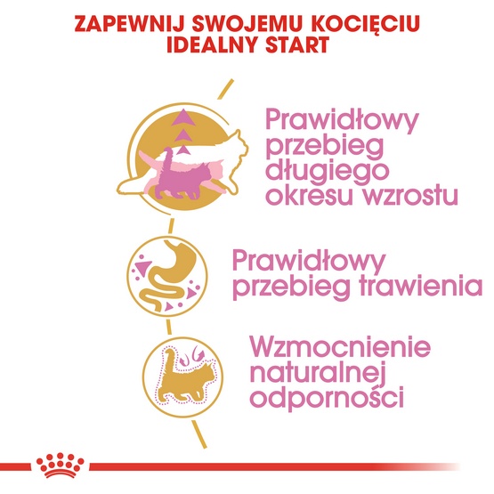Royal Canin Maine Coon Kitten karma sucha dla kociąt, do 15 miesiąca, rasy maine coon 2kg - Image 4