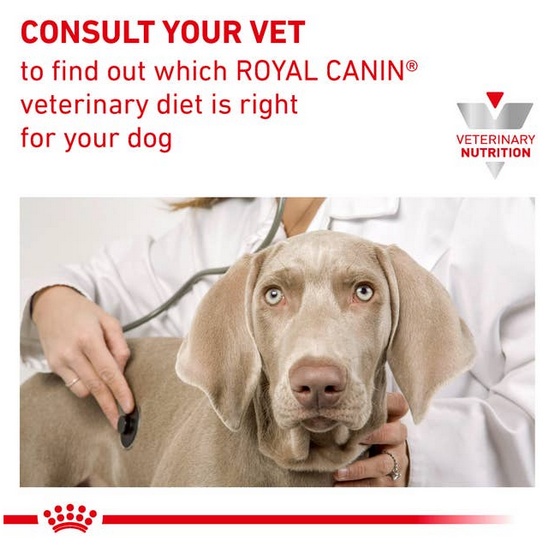 Royal Canin Veterinary Diet Canine Gastrointestinal Low Fat Small 3,5kg - Image 5