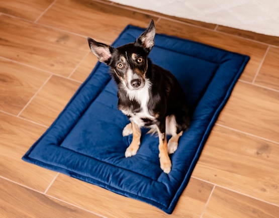 MIMIKO Pets Mata Velvet 100x70cm granat - Image 2