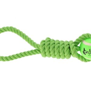 Dingo Zabawka dla psa - Piłka tenisowa z uchwytem Fresh 6,2x41cm zielona