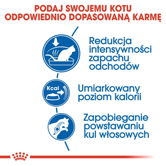 Royal Canin Indoor karma sucha dla kotów dorosłych, przebywających wyłącznie w domu 2kg - Image 4
