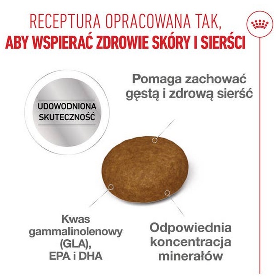 Royal Canin Hair&Skin Care karma sucha dla kotów dorosłych, lśniąca sierść i zdrowa skóra 2kg - Image 3