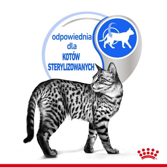 Royal Canin Indoor Sterilised sos karma mokra dla kotów dorosłych sterylizowanych, przebywających w domu saszetka 85g - Image 4