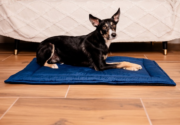 MIMIKO Pets Mata Velvet 100x70cm granat - Image 3