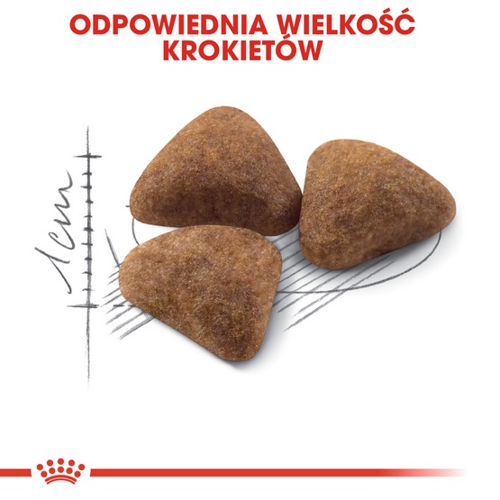 Royal Canin Indoor karma sucha dla kotów dorosłych, przebywających wyłącznie w domu 2kg - Image 5