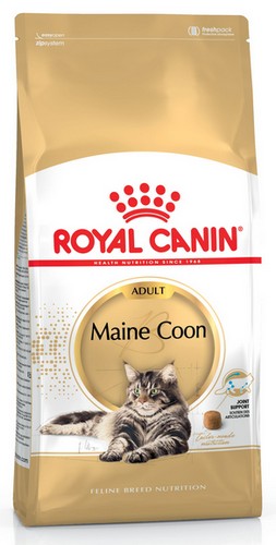 Royal Canin Maine Coon Adult karma sucha dla kotów dorosłych rasy maine coon 2kg - Image 2