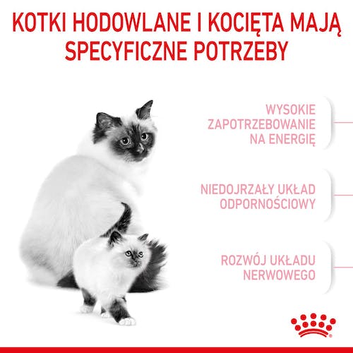 Royal Canin Mother&Babycat karma sucha dla kotek w okresie ciąży, laktacji i kociąt od 1 do 4 miesiąca 400g - Image 3