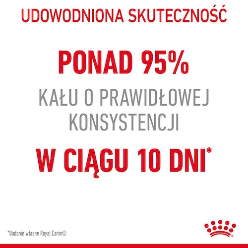 Royal Canin Digestive Care karma sucha dla kotów dorosłych, wspomagająca przebieg trawienia 2kg - Image 2
