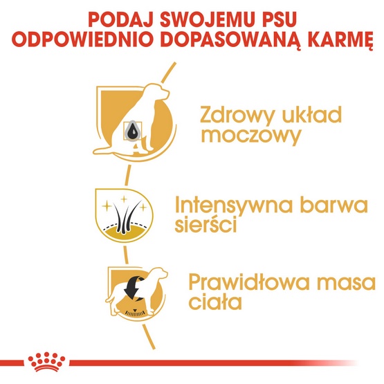 Royal Canin Miniature Schnauzer Adult karma sucha dla psów dorosłych rasy schnauzer miniaturowy 3kg - Image 5