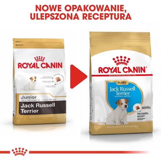 Royal Canin Jack Russell Terrier Puppy karma sucha dla szczeniąt do 10 miesiąca, rasy jack russell terrier 1,5kg - Image 3