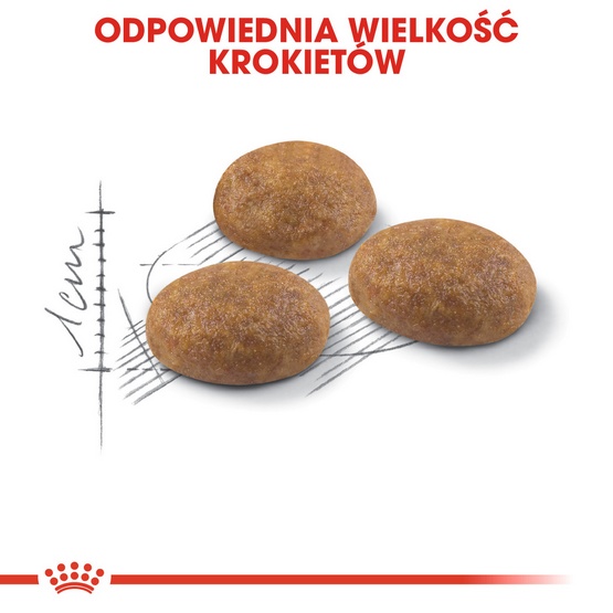 Royal Canin Outdoor karma sucha dla kotów dorosłych, wychodzących na zewnątrz 400g - Image 6